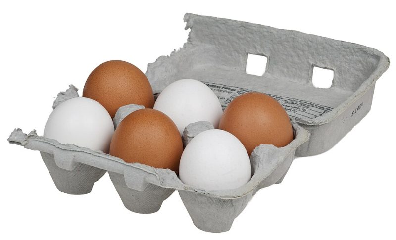 ডিম (Eggs)